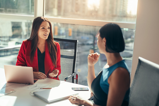 Two business women colleagues discussing project together in modern office