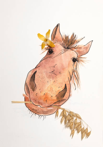 stockillustraties, clipart, cartoons en iconen met reproduction watercolor funny horse roast oats - gekke paarden