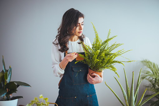 Photo of a young woman, taking care of her houseplants.  Woman gardening in pots. Plant care. Gardening is more than hobby.Lovely housewife with flower in pot and gardening set.