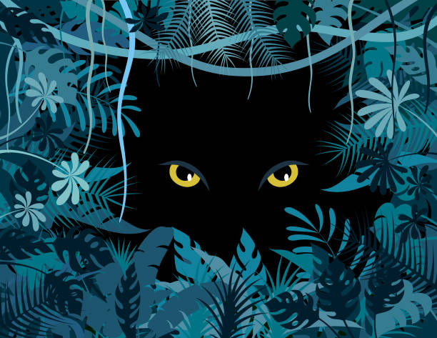 illustrations, cliparts, dessins animés et icônes de jungle tropicale. affiche de grands yeux de chat. - pattern evil template continue