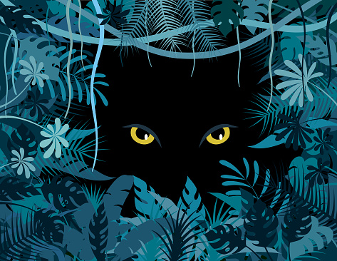 Tropical jungle. Big cat eyes poster. Eyes of a wild animal in the darkness .