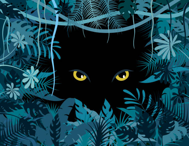 Tropical jungle. Big cat eyes poster. Tropical jungle. Big cat eyes poster. Eyes of a wild animal in the darkness . eyes of tiger stock illustrations