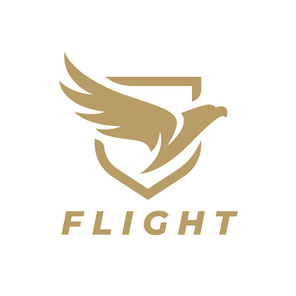 Eagle wing flight icon. Hawk shield wings symbol. Flying bird emblem. Vector illustration.