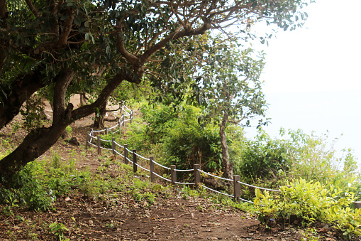 Hilltop fence line marking cliff edge of scenic lookout, natural wooden fence construction with rope connection and rural landscape view surrounded by trees and wild plant. Nusa Panida, Bali, Indonesia