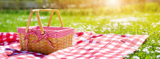 Picnic duvet with empty basket on the meadow in nature. Picnic duvet with empty basket on the meadow in nature. Panoramic view. Concept of leisure and family weekend. picnic stock pictures, royalty-free photos & images