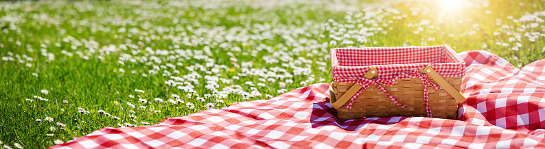 Picnic duvet with empty basket on the meadow in nature. Panoramic view. Concept of leisure and family weekend.