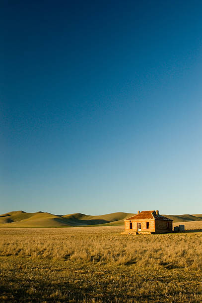 istock Cobb and Co Ruin Portrait 139953544