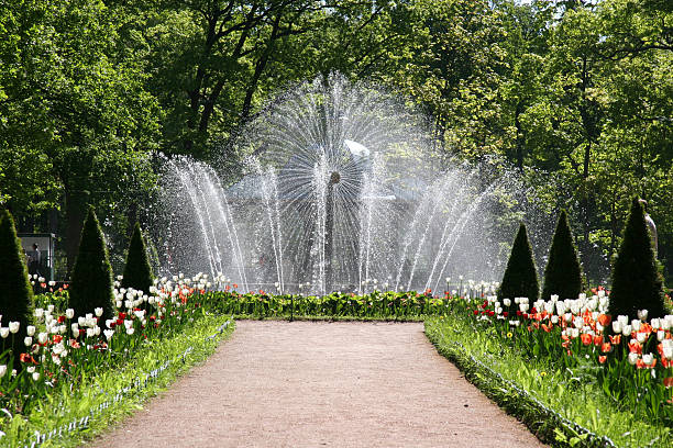 Water fountain stock photo