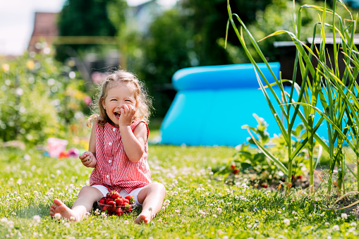 A charming little girl is sitting on the lawn in the garden, eating strawberries and laughing. Summer background, a place for text.