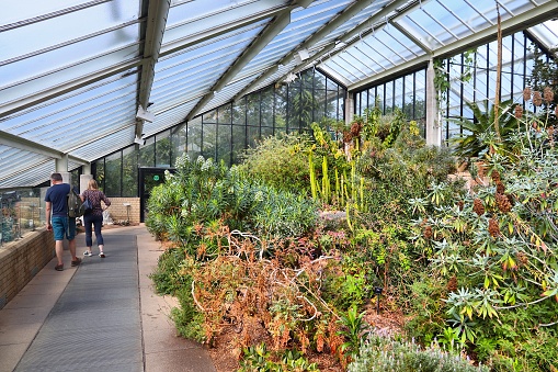 People visit Kew Gardens in Greater London. Royal Botanic Gardens are designated as UNESCO World Heritage Site.