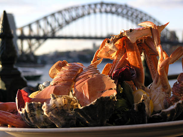 frutos do mar ao pôr do sol em sydney - circular quay fotos imagens e fotografias de stock