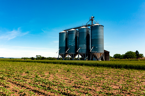 Agricultural field with silos,drone photography.
