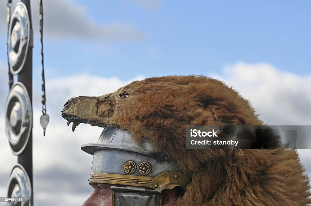 Медведь проследовал Римский - Стоковые фото Центурион роялти-фри