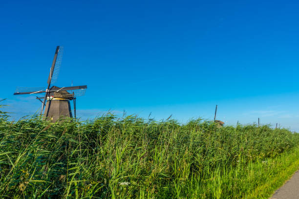istock Windmills of Kinderdijk in the Netherlands 1399545023