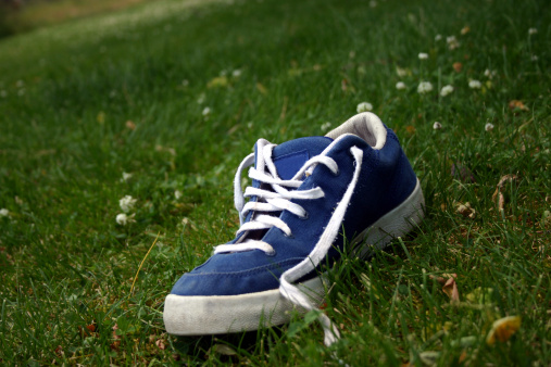 Lone blue shoe in the grass