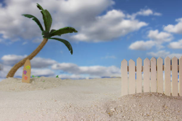 Fence on on beach with waves and Palm Trees in background and Blue Sky
