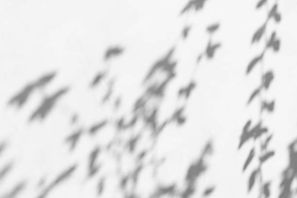istock Abstract background with shadow from plants and sunbeams on a gray old concrete wall. Beautiful reflection of tree leaves on the building. 1399548088
