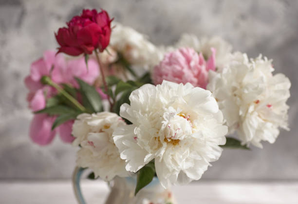 istock Still life with white and pink peonies in a white vase 1399548253