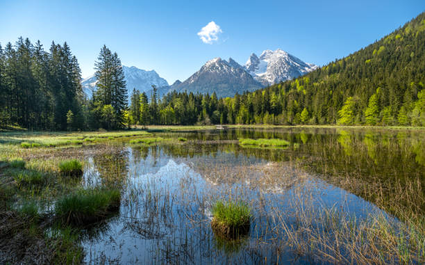 istock Idyllic Bavarian Alpine landscape, Taubensee in Ramsau, Berchtesgaden, Bavaria, Germany 1399550188