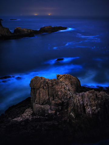 large rocks and seaweed on the rocky coast of the sea at night. wonderful seascape scenery in full moon light