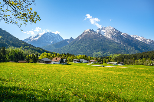 Idyllic blooming summer meadows and traditional farms in front of the snow-capped Hochkalter and Watzmann, Berchtesgaden, Bavaria, Germany. Europe