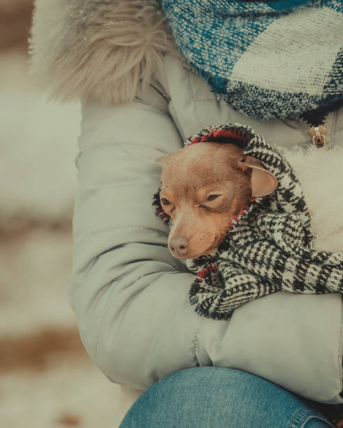 istock girl hug warming her dog in cold day 1399552190