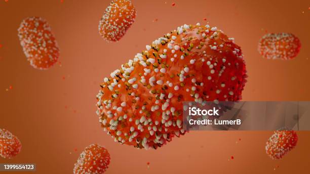 Monkeypox Virus Cell 3d Structure Member Of The Orthopoxvirus Genus In The Family Poxviridae3d Illustration Stock Photo - Download Image Now