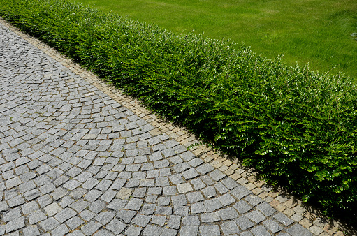 Brick pathway in public park.
