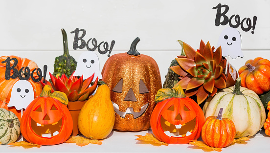 A postcard, a flyer for a party, a Halloween holiday. Bright pumpkins on a light background.