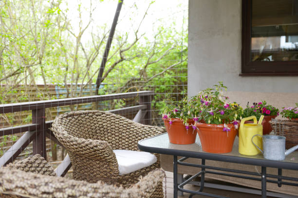 istock flower seedlings on the porch 1399557722