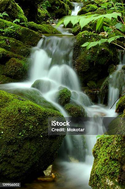 Rzeka Pekel - zdjęcia stockowe i więcej obrazów Bez ludzi - Bez ludzi, Fotografika, Natura