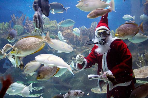 Santa Clause Feeding Fishes