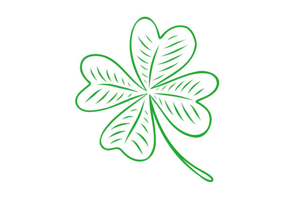 ilustracja wektorowa szczęśliwej koniczyny z czterema liśćmi w stylu ręcznego rysowania. - spring clover leaf shape clover sketch stock illustrations