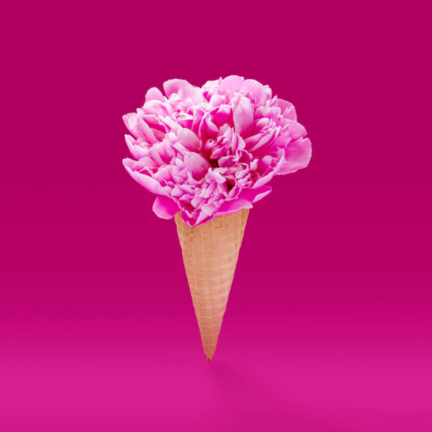 istock Pink peony flower in ice cream cone with magenta background 1399561769