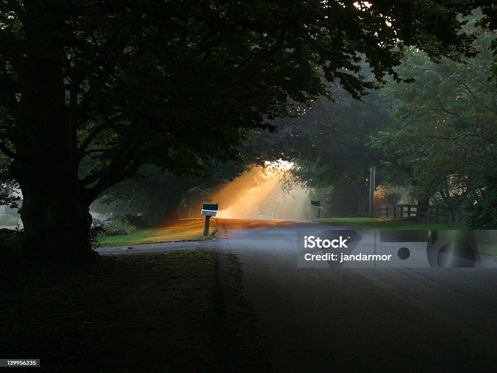 Espera pelo correio. - Foto de stock de Caixa de correio royalty-free