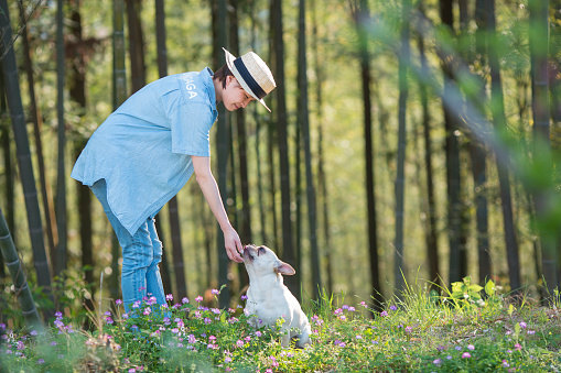 Woman, pet dog, outdoor, spring, leisure, French bulldog, joy, orchard, peach tree,Love, walking, sunshine