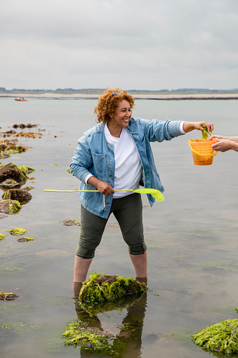 A senior woman standing in the sea at Beadnell beach, North East England. She is holding a fishing net while smiling and putting algae into a bucket that an unrecognisable person is holding.