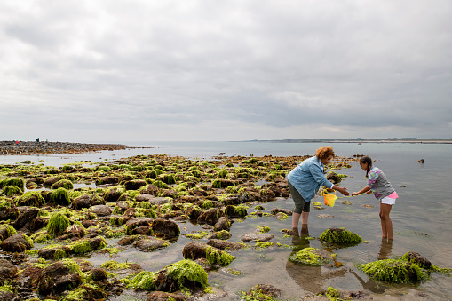 A young girl and her grandmother spending the day together at Beadnell beach, North East England. The girl is holding out a fishing net and passing it to her grandma while they explore the sea and search for wildlife.