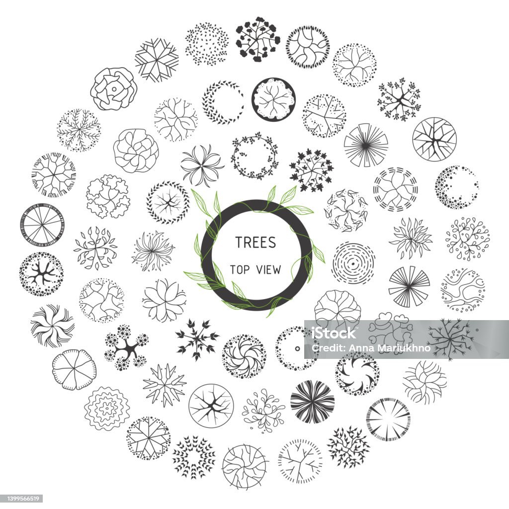 Tree Entourage Vector Entourage Architecture Trees