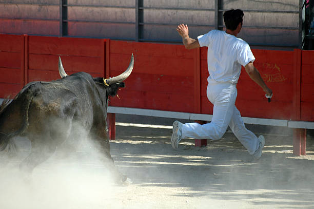 Man in white running from a bull chasing him stock photo