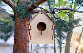 Wooden birdhouse on tree at springtime, sunny day
