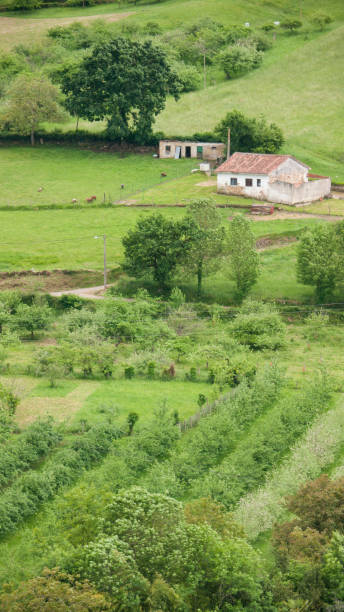 istock Farm in green valley 1399571264