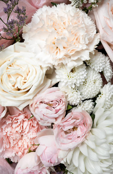 istock Summer blossoming delicate flowers on blooming background, pastel and soft bouquet 1399572428
