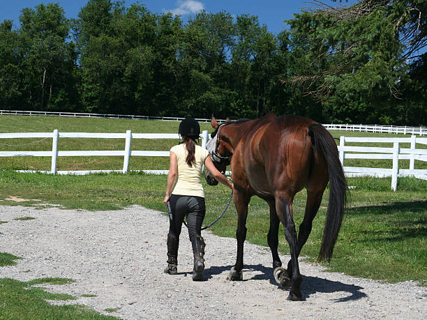 istock Girl and Horse 139957257