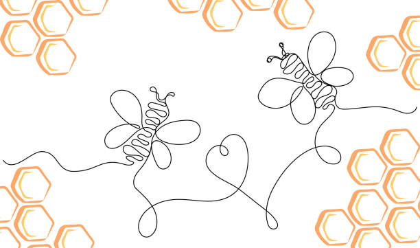 흰색 배경에 고립 된 날으는 꿀벌과 벌집의 연속 한 줄 그리기 - hive frame stock illustrations