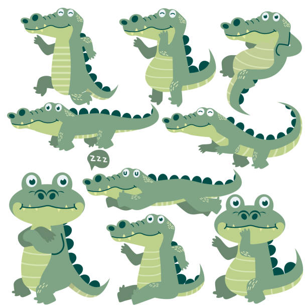 illustrations, cliparts, dessins animés et icônes de mignon crocodile personnage de dessin animé jeu vectoriel - alligator white background crocodile reptile