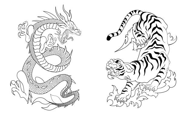 140 Dragon Tiger Tattoos Illustrations & Clip Art - iStock