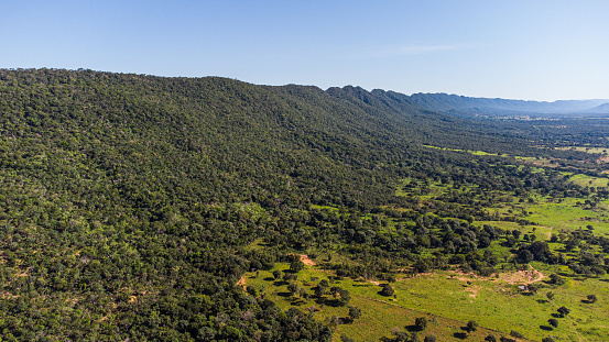 Aerial view of vegetation deforestation of Brazilian Cerrado in Serra do Mangaval, Mato Grosso, Brazil. - zoom in