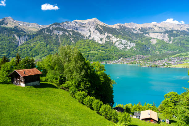 alpejski krajobraz z zieloną łąką i drewnianą chatą nad jeziorem brienz w szwajcarii - interlaken mountain meadow switzerland zdjęcia i obrazy z banku zdjęć