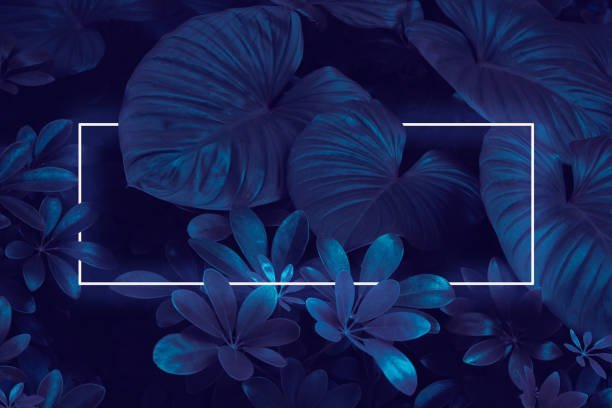 istock Illustration of a large dark green leaf with soft neon light, a rectangular green water led frame light For natural backgrounds 1399582660